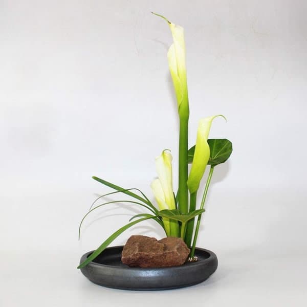 IC Rund Blomholder / Blomsterfakir med Gummibase - Blomdekor - Sort