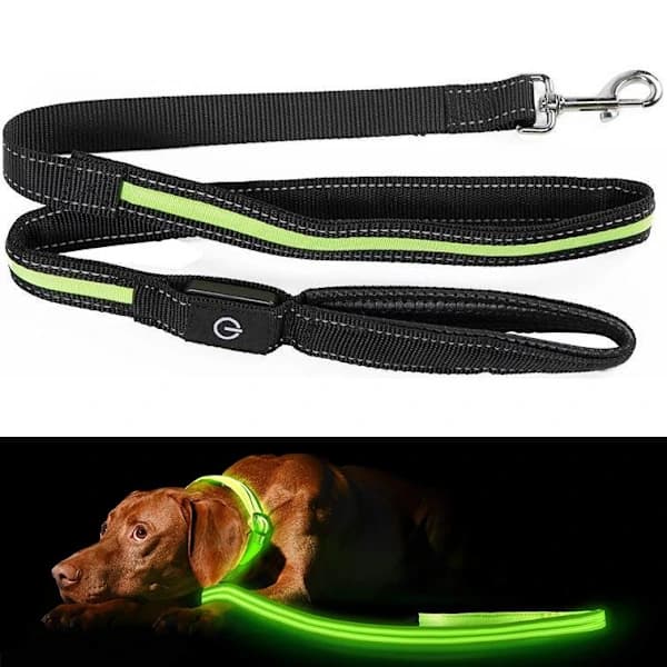 LED Dog Leash / Dog Leash - 175 cm
