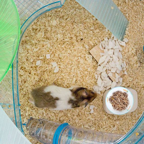 IG 2st Hamster Matkål, Smådjur Keramisk Mat- ja Vattenskål