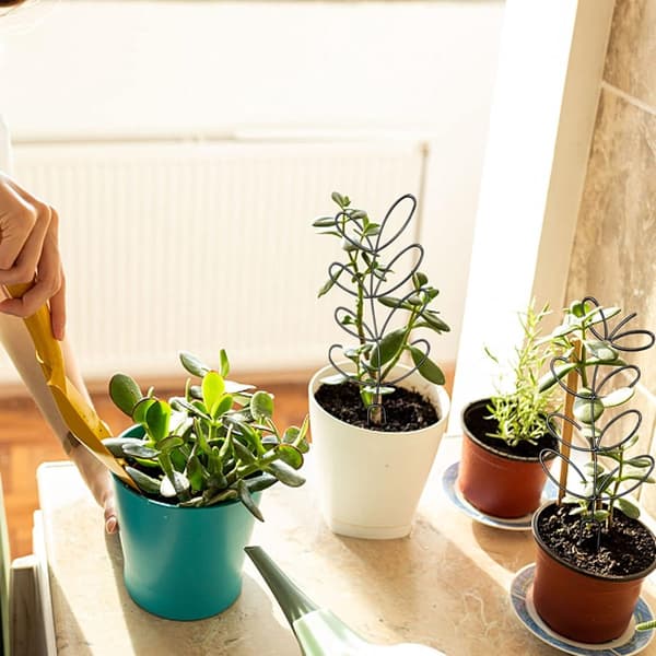 Mini Metal Espalier til Potteplanter, Bladform, Sort, 14.5x31.5cm, til Klatreplanter