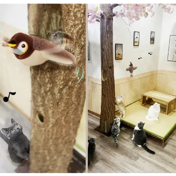IC Interactive Mobile Sparrow | Elektrisk kattelegetøj med katteurt | 23*183*12CM/Kattlegetøj/Kat/Kat vaskbar plyslegetøj med pude Mint + USB kabel