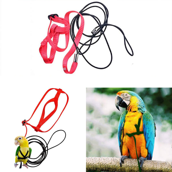IC Fågelsele Justerbart papegojkoppel Fågelrep XS