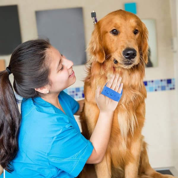 Dog Brush - Dog Comb - Bath Brush - Pet Shampoo - Softening - Massage Rubber Comb - with - Adjustable - Ring Handle - Long