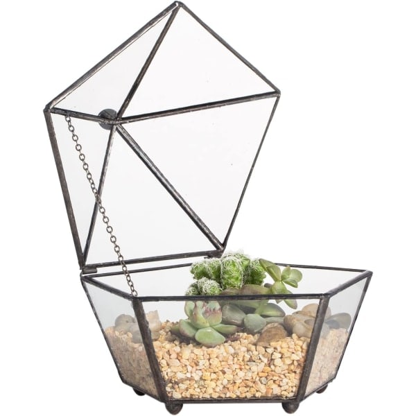 IG Litet glasgeometriskt terrarium slutet juvelförpackad form New Small Black Footed