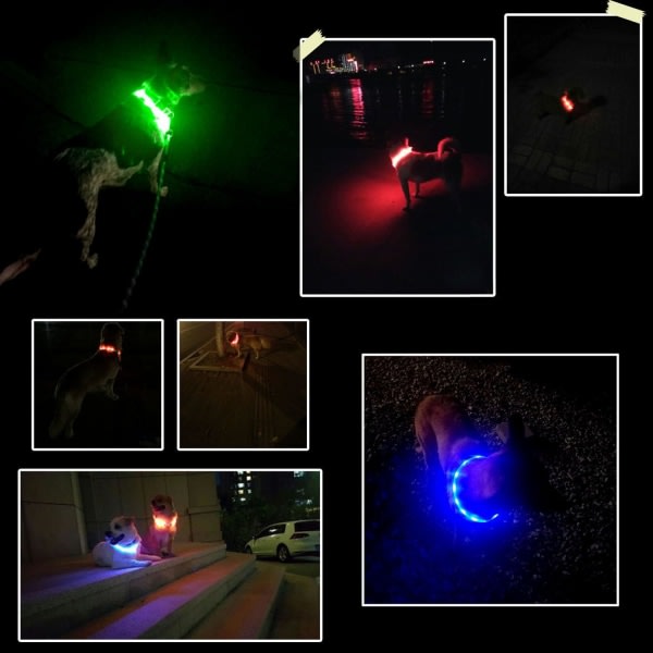 IC LED-hundhalsbånd, USB-oppladningsbart glødende hundhalsbånd, lyser opp