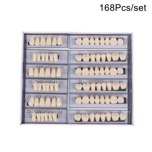 IC 168 stycken/6 set/box Tand Syntetisk Polymer Full Set Harts