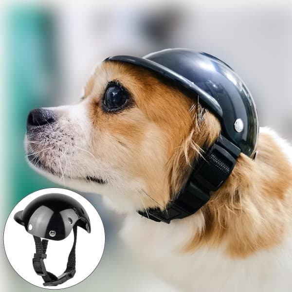 IC CNE Motehjälm for Hund og Katt