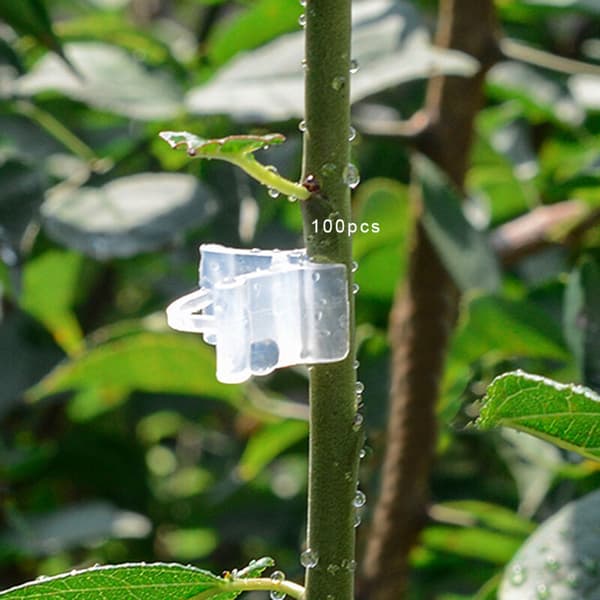 100 st Växtstöd Clips Grafting Clips för Träd Grönsaker Frukter Trädgårdsredskap, DUBUNS