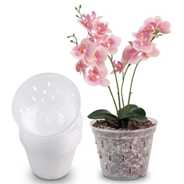 IC Blomkruka er Dräneringshemkrukor med hål Klar inomhusorkidé Pot with Tray