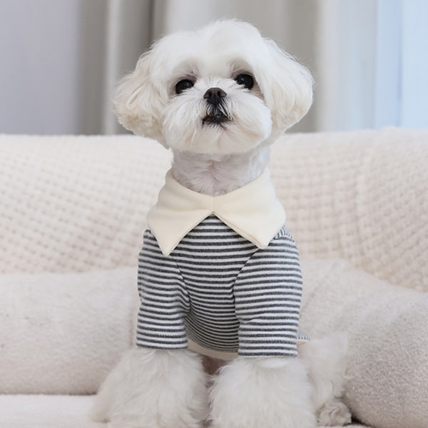 IG Hund Pyjamas Kläder for Små Hunder Jente Valp Pyjamas