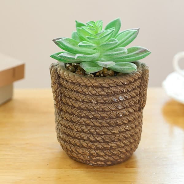 IC Falsk blomst simulering saftig stor bonsai mode kreativ