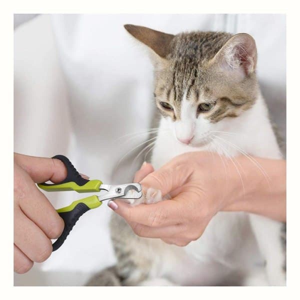 IC Professionel Klo-Sakse til Katte, Kløklippare til Kat i Dyr