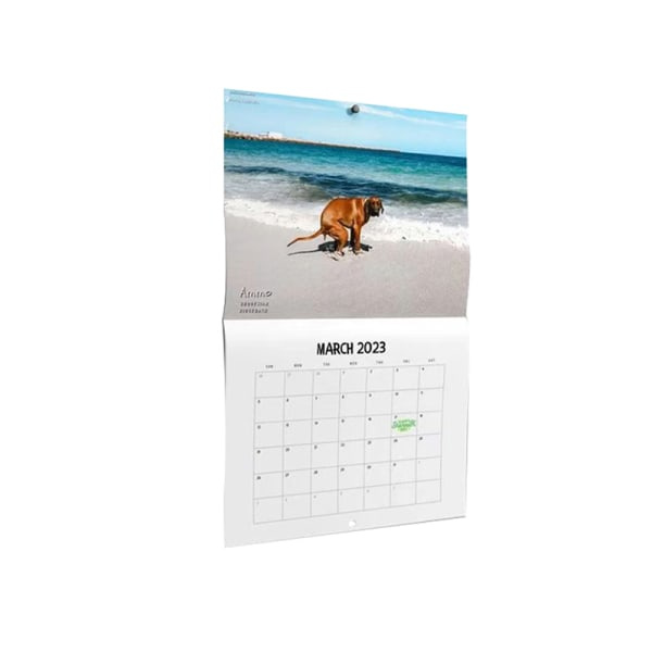 2023 Kalender Hundbajsande Väggkalender Pooches Kalender