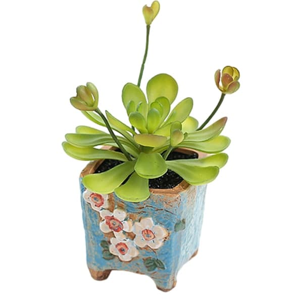 IC Simulering sukkulenter bonsai kreative ornamenter blomstermiddag