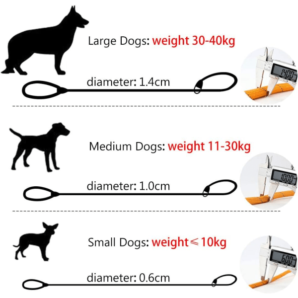 IC Liten, medelstor och stor husdjursträning Lasso reflekterande koppelrem - 150 cm lång (orange)