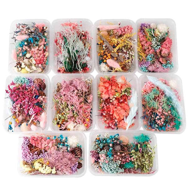 IC Torkade Blommor Naturlig Blomsterkonst Craft Scrapbooking Resin Smycke Flerfärgad 5Pcs