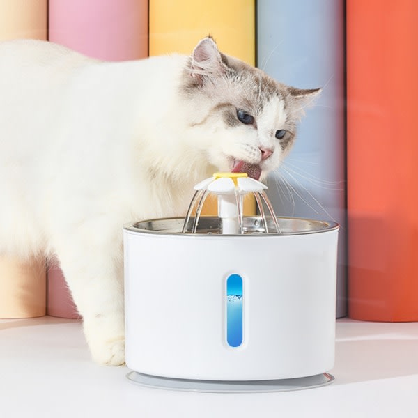 IC Automatisk Vannfontene for Katt med LED-belysning Automatisk Do 8