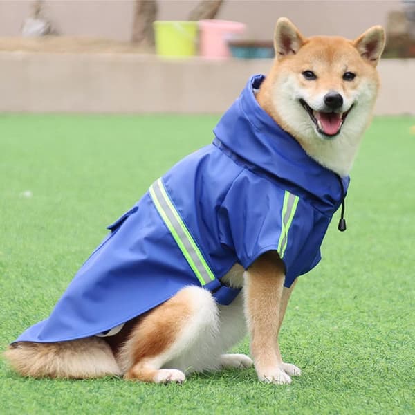 Vanntett regnfrakk til hund med hette og refleksstriper, ponchostil for mellomstore til store hunder, regnværsdager, blå, 5XL