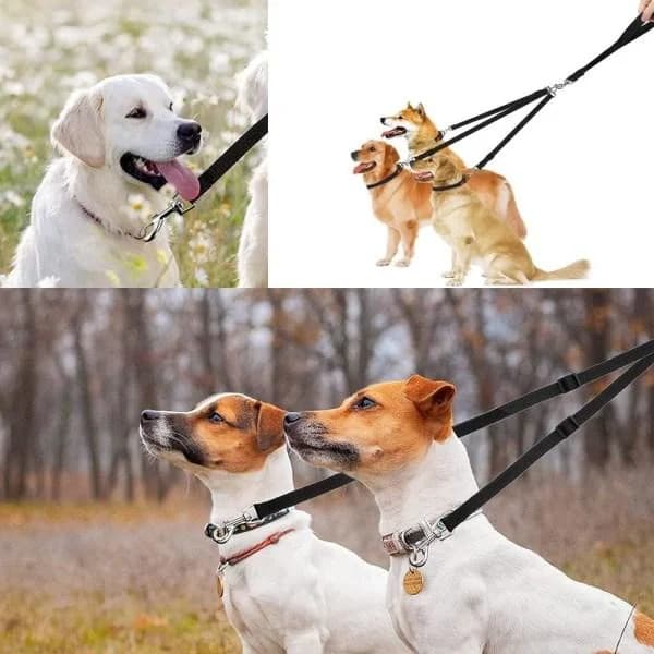 Galaxy Leaf 3-in-1 Dog Leash, Adjustable Leash, Detachable Dog Leash, Jogging Leash for Medium Dogs