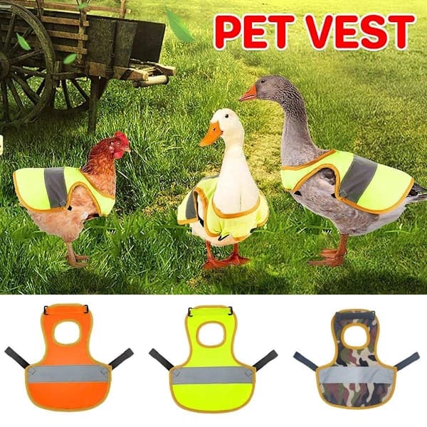 Vintertøj til smådyr: Kyllinge-vest & And/Gås-outfits