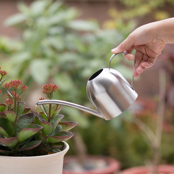 IC Mini vannkanne med lang tut for potteplanter i hagen