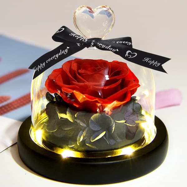 IC Evig blomst rose dekorasjon med lampe kjærlighetsglassdeksel roserød