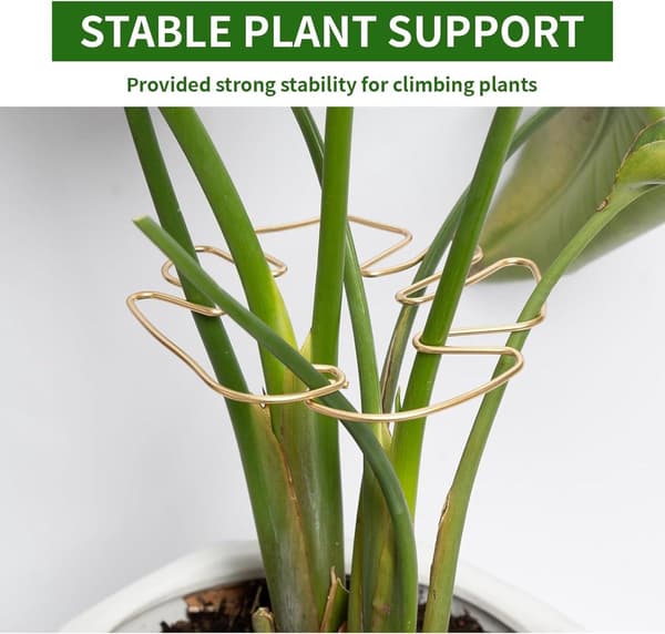 Plantestøtter for Monstera - Sett med 4 stk (gull)
