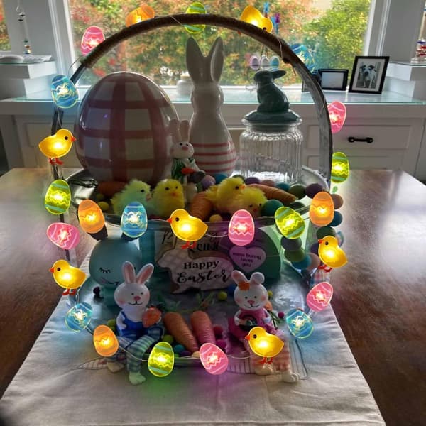 Påskeegg og kylling lyslenke, 50 LED, 8 moduser, fjernkontroll, batteridrevet, for påskefester og vårdekor, 5M