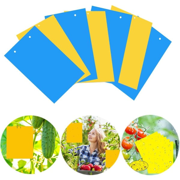 IC 100 ST Dubbelsidiga Insektsfällor Pappersflugfångare för Myggor