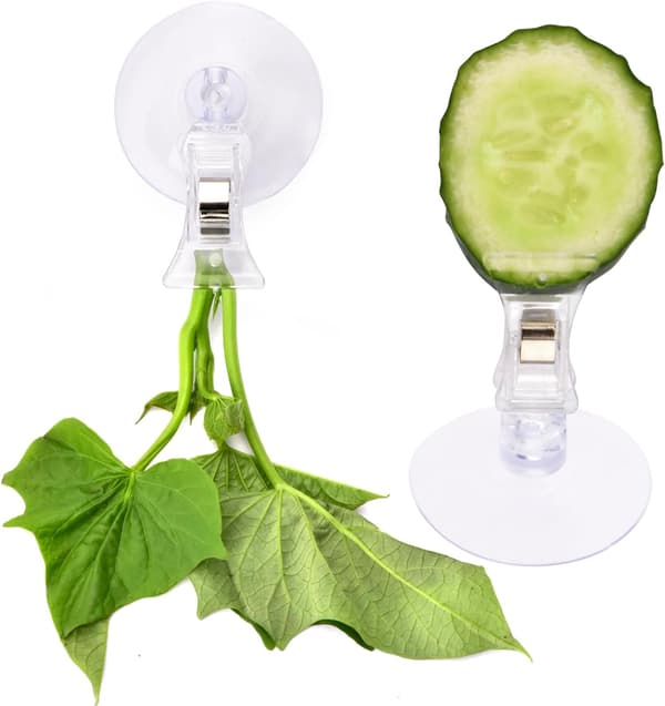 Akvarium Tang Fiskefoderholder Clips, 12 Styk Sugekop Grøntsagsclips til Akvarium Fodring, Klar