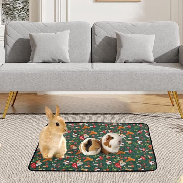 Marsvinbur-underlag vaskbart absorberende hurtigtørkende vanntett sengetøymatte for smådyr 61 x 45 cm soppmønster grønn