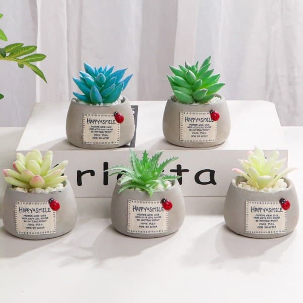 IC Simuleringsväxt Mini Simuleringsväxt Succulent Mikrolandskap Dekorativ Bonsai (Rosa Älva)