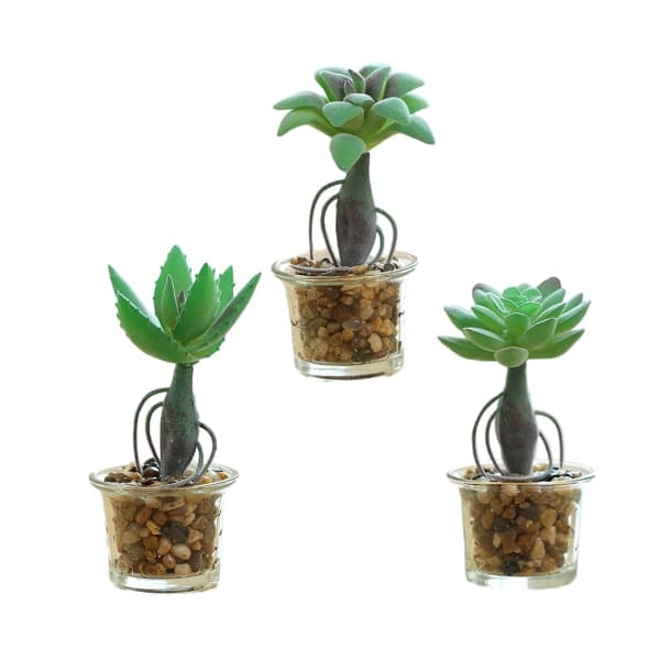3 st konstgjorda suckulenter i glas