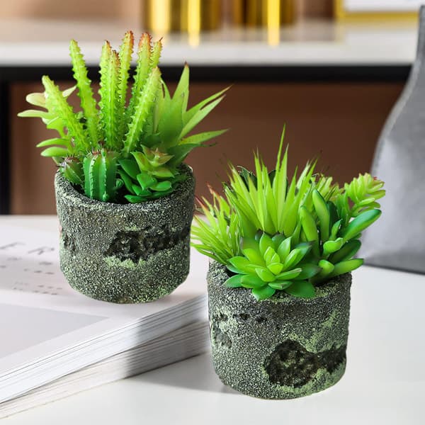 IC 2st simuleringssuckulent bonsai kreativ heminredning