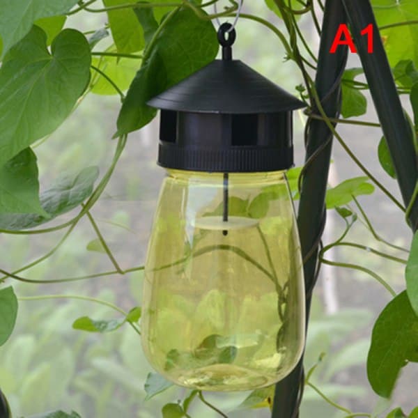 IC 1 ST Fluefælde Frugtfluer Insektsbugg Hængende Honningfælde C A1