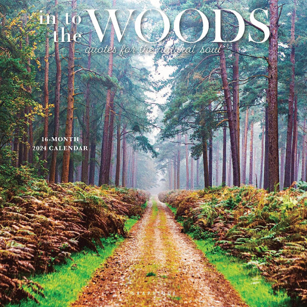 2024 In to the Woods Seinäkalenteri | 12\" x 12\" | Paksu paperi | 3 kieltä & merkittyjä pyhäpäiviä | 4 2024