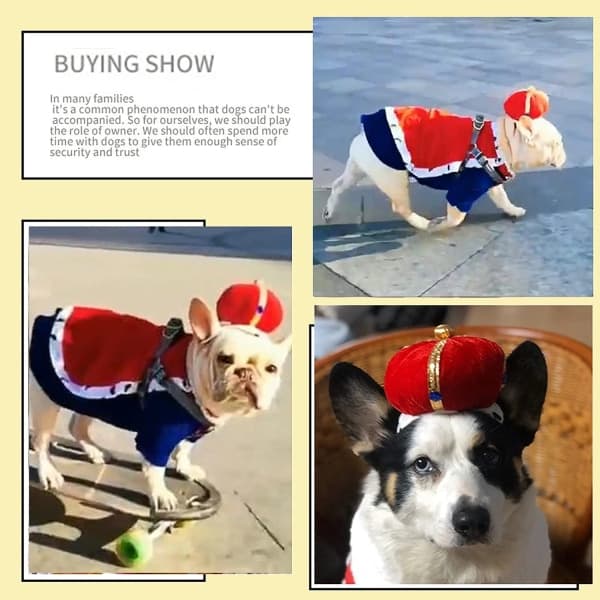IC Halloween Hund Konge Kappe Kostume Med Krone Kæledyr Kostume Efterår Vinter Kostume Kat Hættetrøje med hat