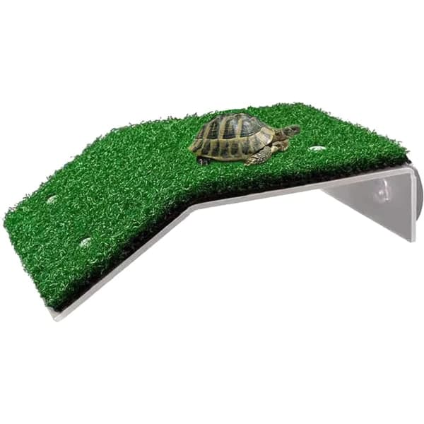 IC Turtle Akvaarion Simuloitu Nurmikko Lepoalusta Matelija Ramppi