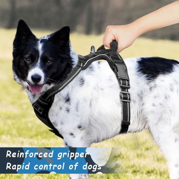 Ekstra stor hundesele (XL) - 2 snorclips, reflekterende striber - Hals 51-75 cm, Bryst 75-95 cm - Sort
