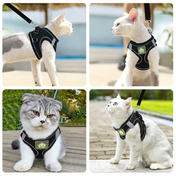 IC Kattehalsbånd Sele og Sæt Kitten Walking Escape