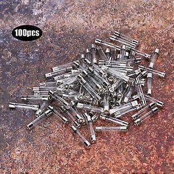 100 kpl Nopea Lasisulake Sähkösulake AC250V 6 x 30mm (5A)