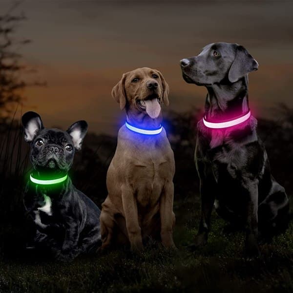 IC Oppladbart lysende hundehalsbåndslampe, justerbar blød M