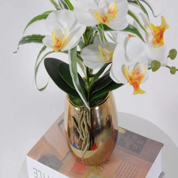 IG Kunstig blomst Phalaenopsis plastikorkidé i bonsai potte