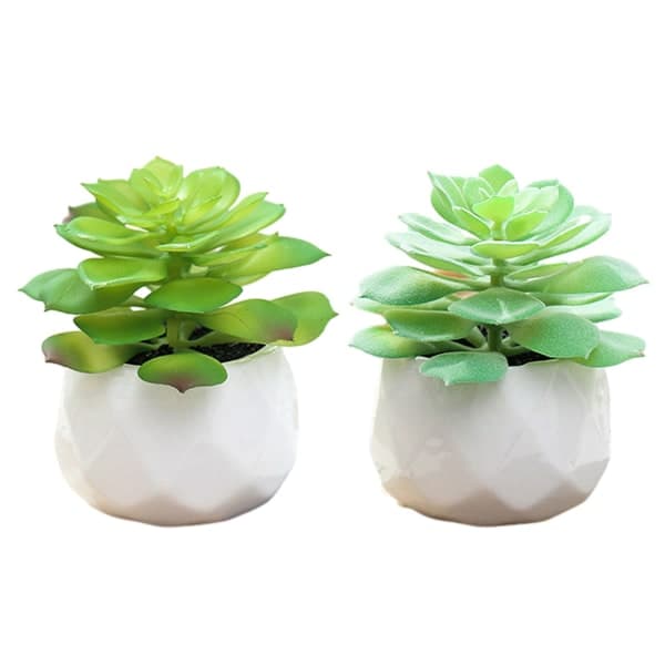 IC 2 stk. stor diamant bonsai simulering saftig bonsai