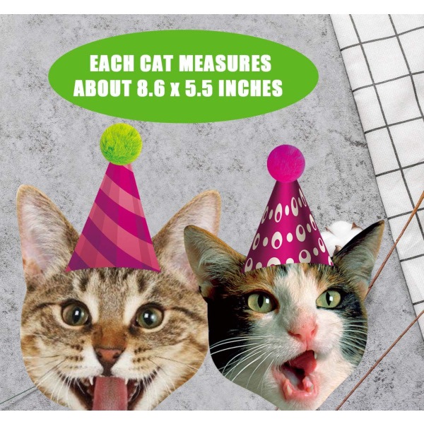 IC Födelsedag Cat Garland, Valokuva Cat Face Födelsedag Banner