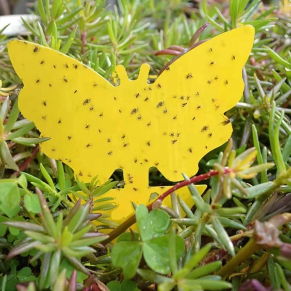 100-pak - Fluefanger / Fluefælde / Myggefanger - Fanger fluer Yellow Gul