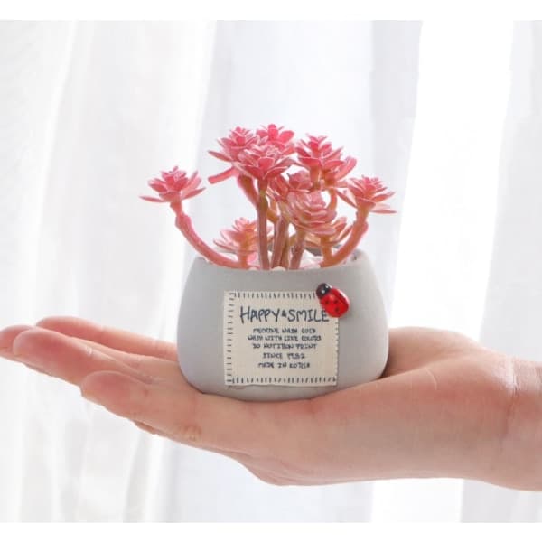 IC Simuleringsväxt Mini Simuleringsväxt Suckulent Mikrolandskap Dekorativ Bonsai (Grön Liten Suckulent)