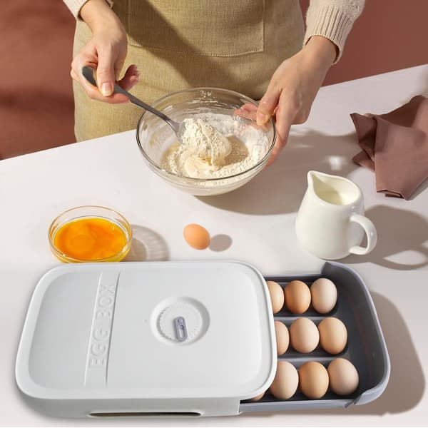 Storage Box - Egg Holder - Transparent - Plastic - Refrigerator - White - Egg Storage Box - Egg Storage Container
