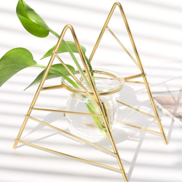 IC Växtterrarium med metallstativ, luftplanteringslampglasvas, vas med geometrisk metallram för förökning av hydroponisk växt