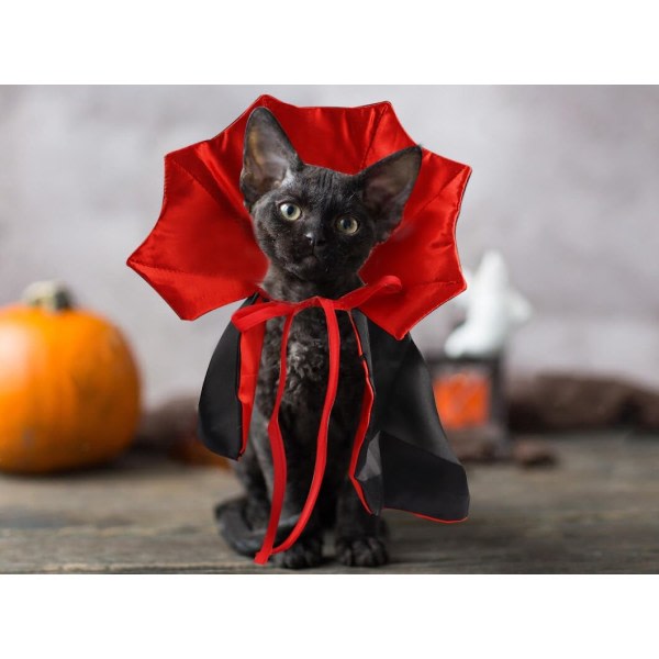 IC Halloween Katt Vampyr Kappa Dräkt Halloween Justerbar Röd Svart Pet Cape Kostym Kläder, Halloween Husdjur Accessoarer Kostym Outfit Dekor Cowl